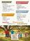 SUMMER in the Village – A Unique Experience for Children Aged 5 to 12